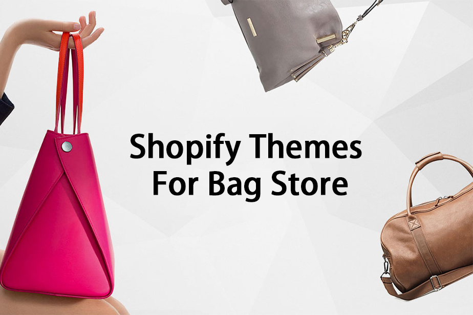 Top Shopify Themes Paid For Bag Store Blog